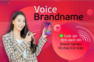 Voice Brand Name – Cuộc gọi định danh tên Doanh nghiệp, tổ chức, cá nhân nhằm nâng tầm thương hiệu đến với khách hàng tiềm năng