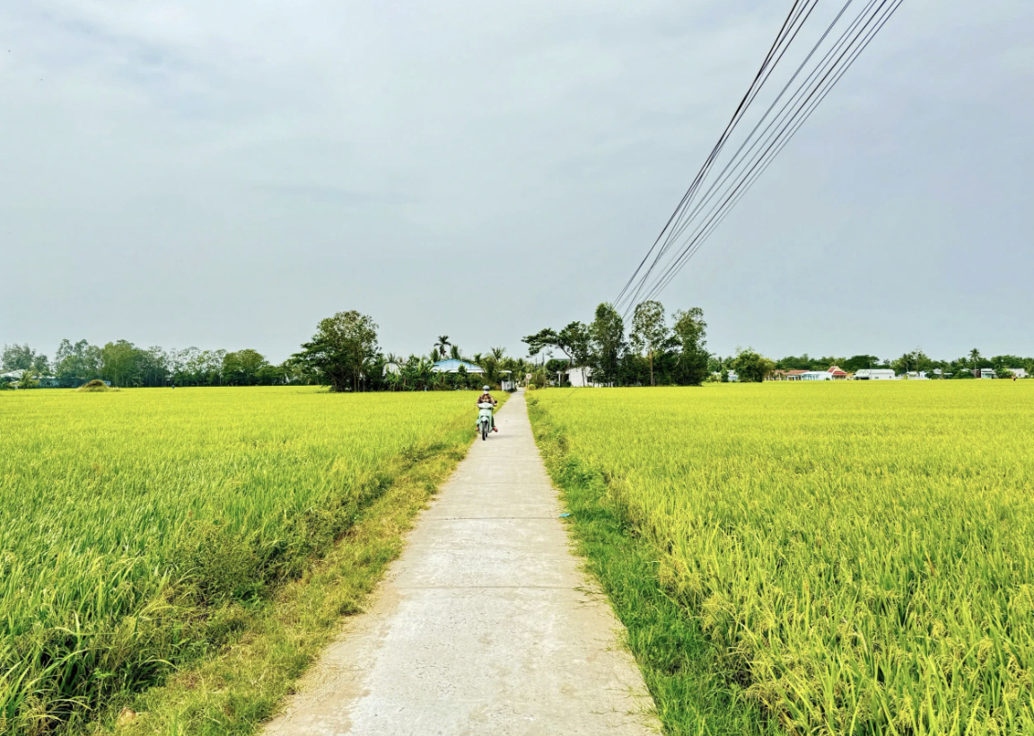 lắp mạng Viettel tại xã Mỹ Hương