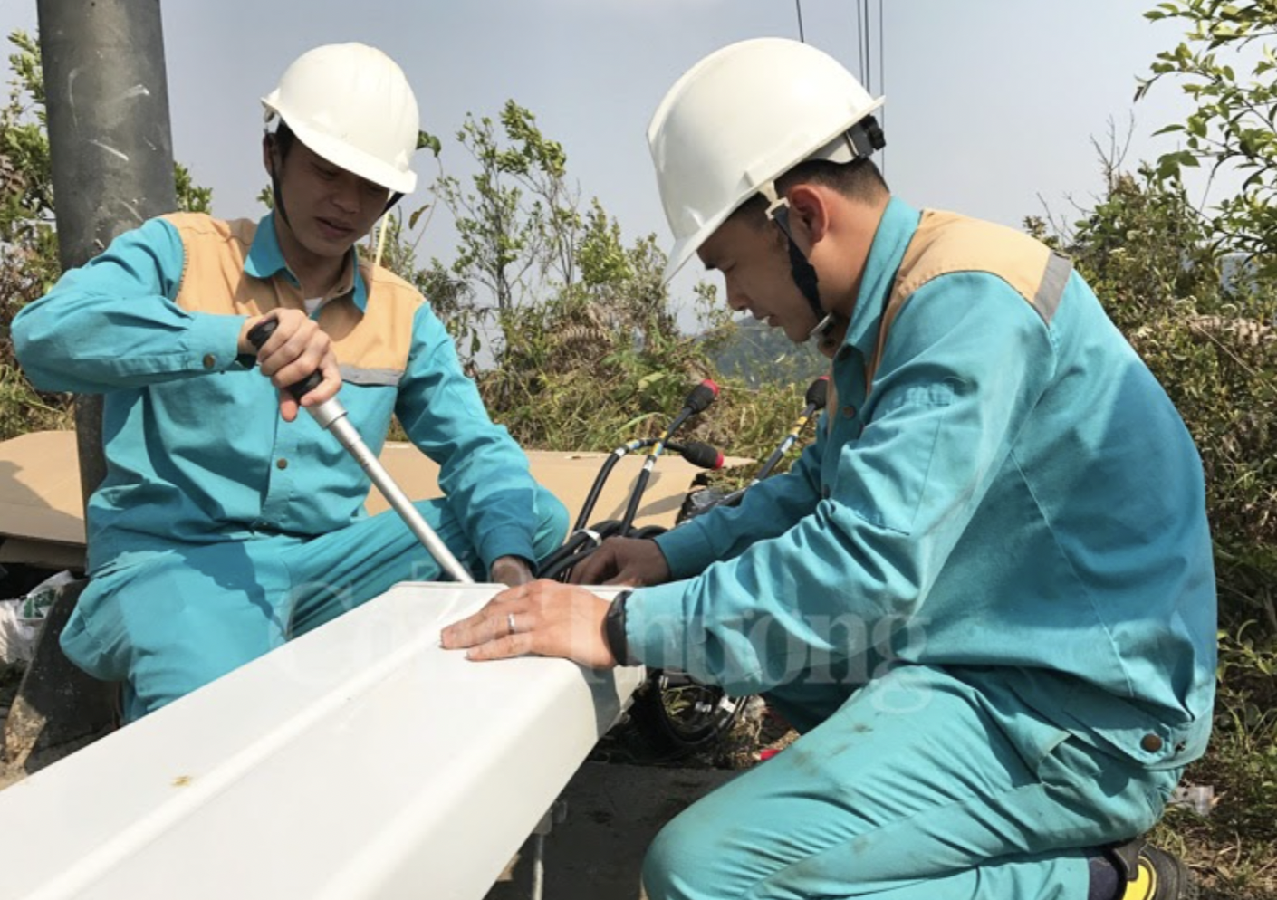 lắp đặt internet vnpt hay viettel