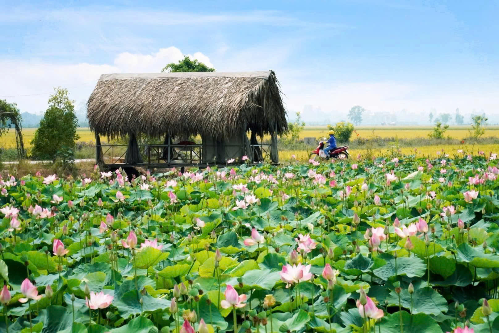 lắp mạng viettel xã Bình Ninh