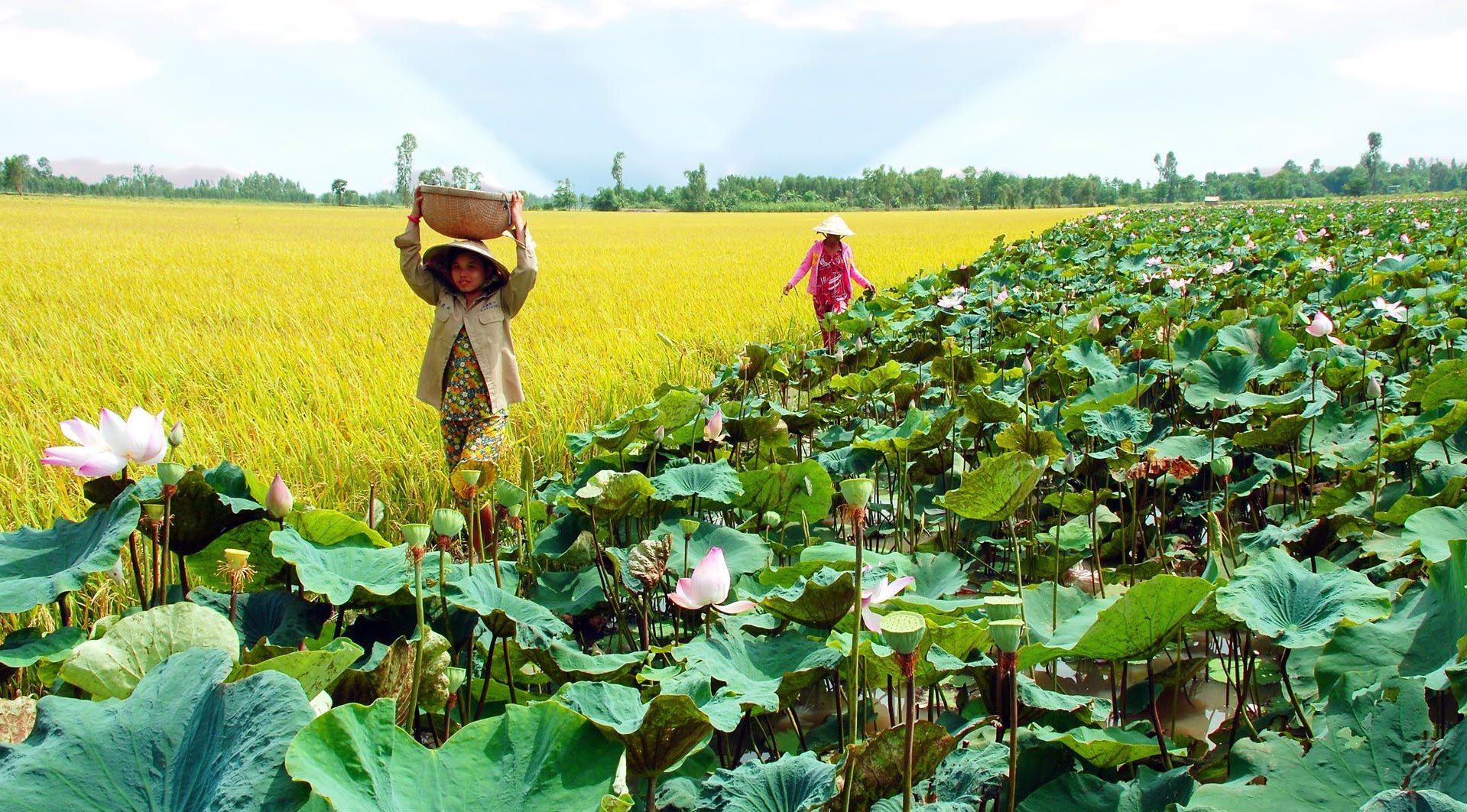 lắp mạng viettel xã Hậu Mỹ